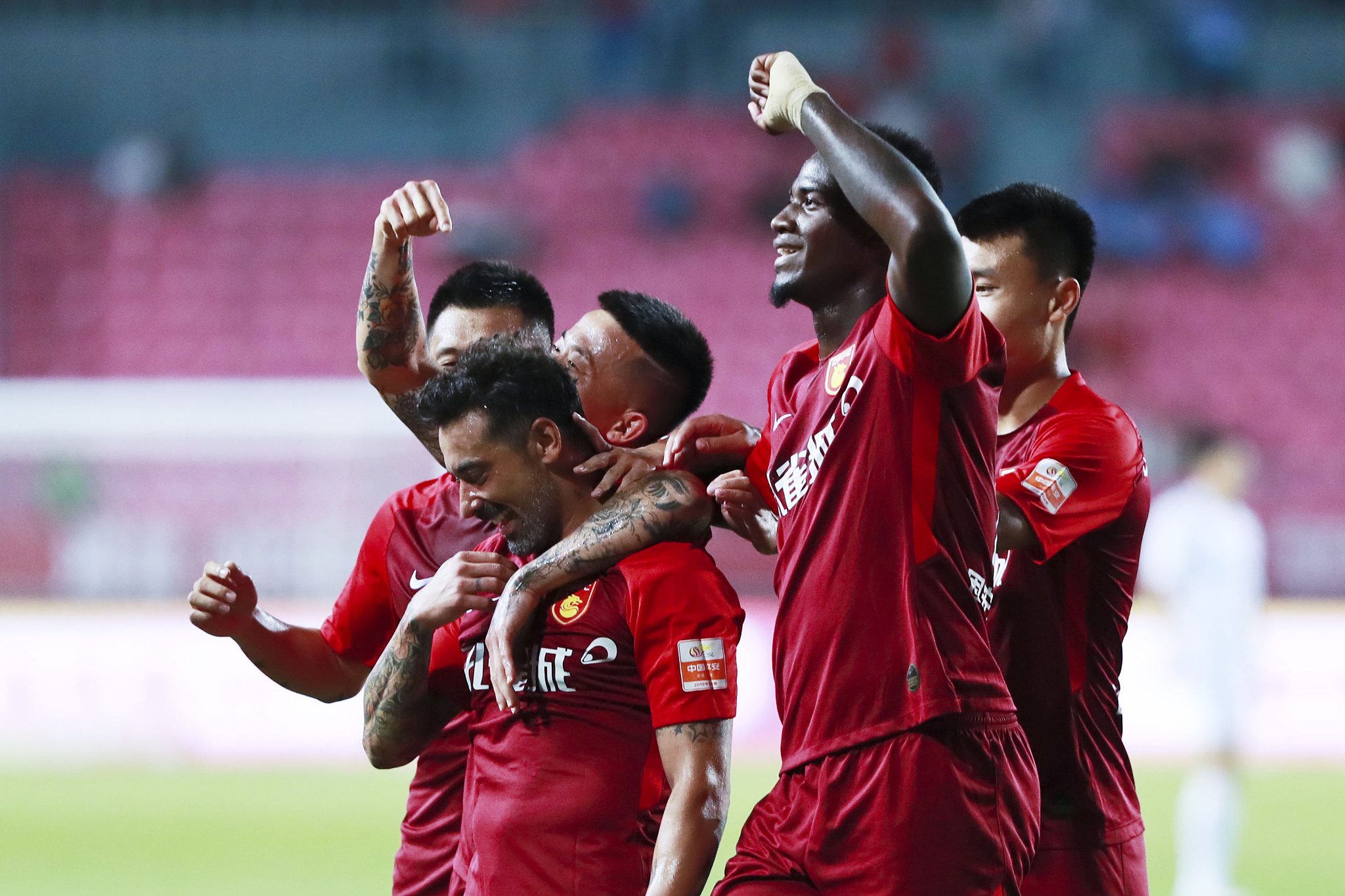 这种不懈的 这种不懈的