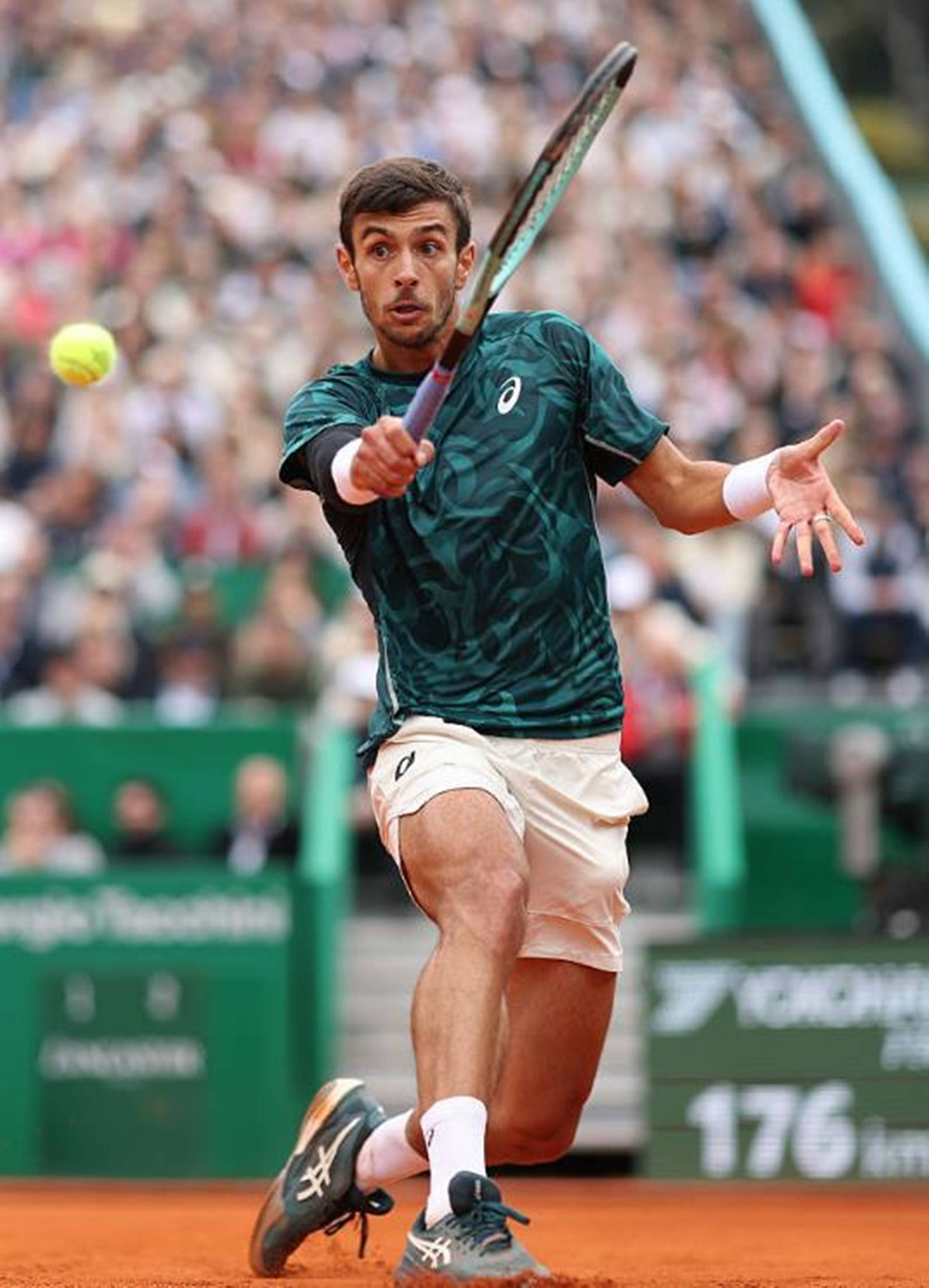 学习和效仿 学习和效仿